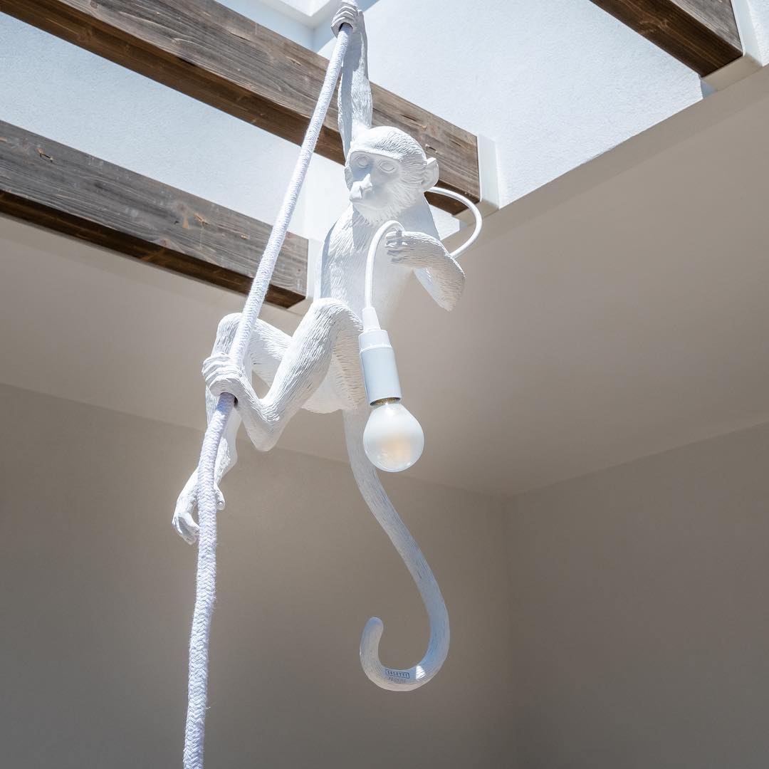 Lampada LED da soffitto MONKEY LAMP
