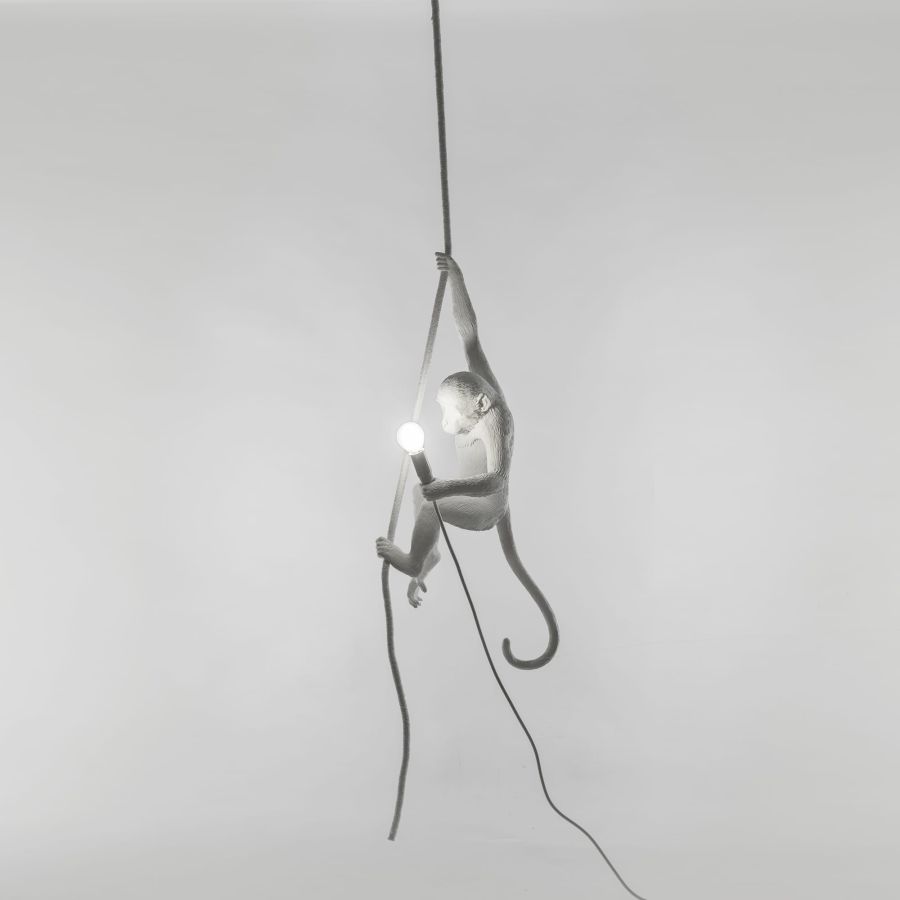 Lampada LED da soffitto MONKEY LAMP